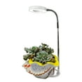 thumbnail image 2 of Ground-plugged Plant Light Timable Dimmable Angel Ring Full Spectrum Imitation Sunlight Succulent Pot Grow Light Fill Lights, 2 of 6