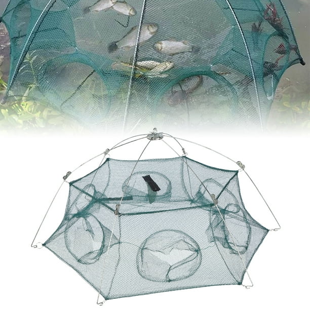 Gupbes Bait Trap Fishing Net, Folding Fishing Net, Folding For Black Carp  Crab