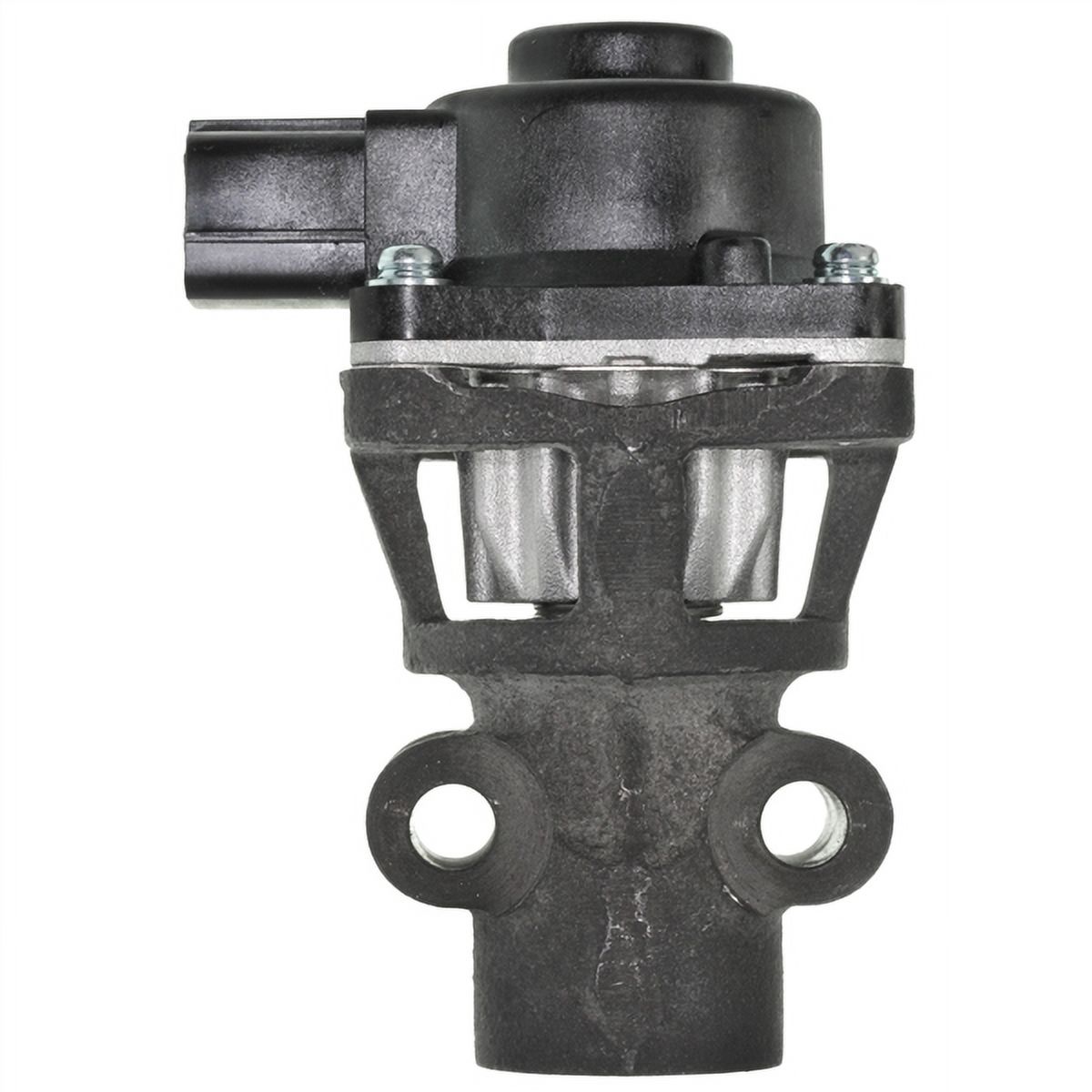 Exhaust Gas Recirculation (EGR) Valve