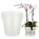 thumbnail image 1 of Macetas Transparentes para Orquídeas para Trasplantar Maceta de Interior con Orificios de Drenaje y Platillo para Trasplantar Orquídeas ANGGREK  Otros, 1 of 5