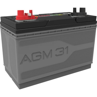 EverStart Platinum BOXED AGM Marine and RV Deep Cycle Battery, Group Size 31M 12 Volt, 1030 MCA