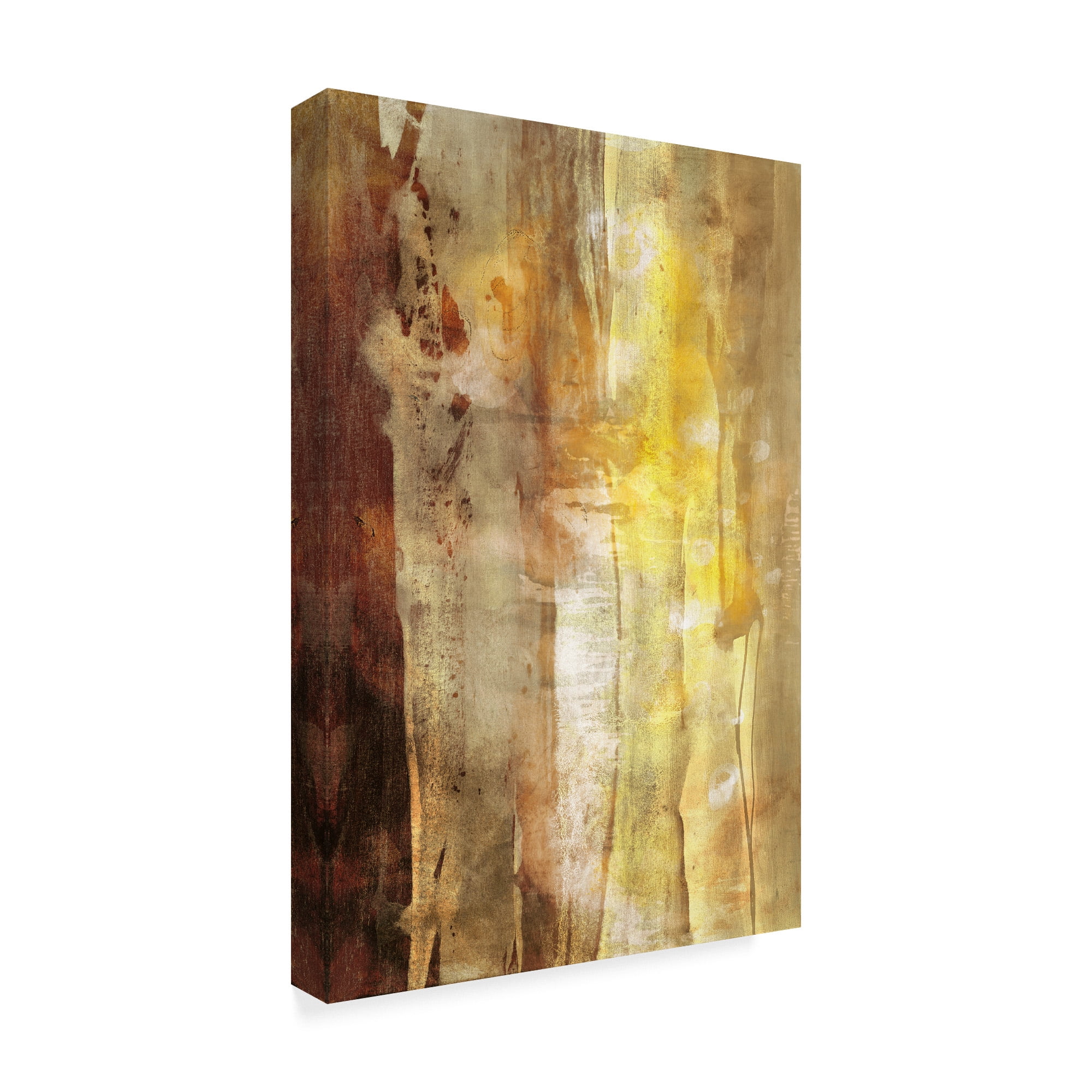 Trademark Fine Art 'UA CH Golden Glow I' Canvas Art by Sisa Jasper