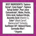 thumbnail image 5 of Annie's Organic Bunny Fruit Flavored Snacks, Easter Basket Stuffers, Summer Strawberry, Gluten Free, 10 Pouches, 7 oz, 5 of 5