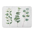 thumbnail image 1 of LADDKE Watercolor Eucalyptus Round Leaves and Branches Hand Baby Seeded Silver Dollar Doormat Floor Rug Bath Mat 23.6x15.7 inch, 1 of 1