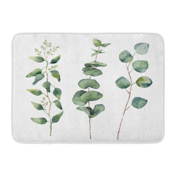 LADDKE Watercolor Eucalyptus Round Leaves and Branches Hand Baby Seeded Silver Dollar Doormat Floor Rug Bath Mat 23.6x15.7 inch