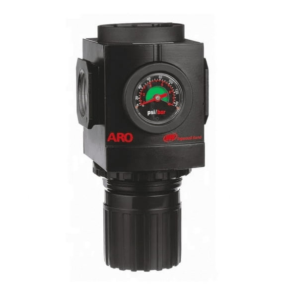 Air Regulator, 1 In. NPT, 290 cfm, 250 psi