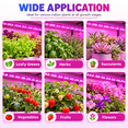 thumbnail image 5 of PEUHOP 3 Pack Grow Lights for Indoor Plants, 16.4 ft LED Grow Light Strips, Waterproof Cuttable Purple Plant Lights for Indoor Growing, Succulents and Flowers, 5 of 8