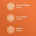 thumbnail image 3 of Dr. Mercola Organic Curcumin Extract - Supports Cellular Health & Antioxidant Activity - Micronized Curcuminoids - No Black Pepper - USDA Organic - 30 Tablets, 3 of 6