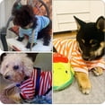 thumbnail image 6 of SUCS 6 Pieces Dog Striped T-Shirt Dog Shirt Breathable Pet Apparel Colorful Puppy Sweatshirt Dog Clothes for Dogs Puppy, 6 of 7
