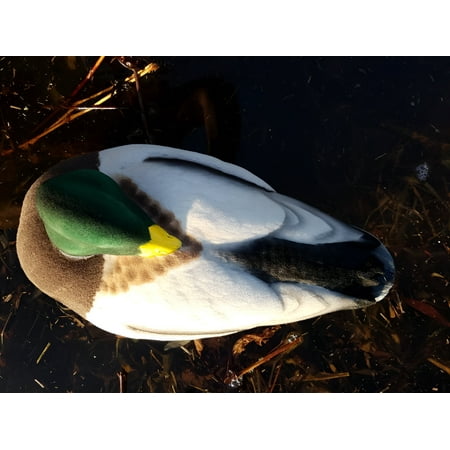 Mallard Supreme Decoy Flocking Kit