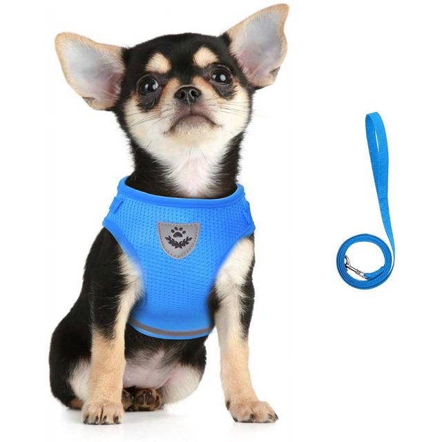 LAICAIW Dog Harness and Leash Set, No Pull Reflective Adjustable Pet Soft Mesh Chest Vest Harnesses Easy Control for Small Medium Dogs and Cats Outdoor Walking