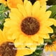 thumbnail image 5 of Flor artificial Injueey seda realista 22 cabezas para hogar boda fiesta, 5 of 6