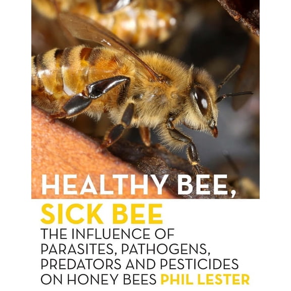 Healthy Bee, Sick Bee : The Influence of Parasites, Pathogens, Predators and Pesticides on Honey Bees (Paperback)