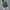 AG, variant on WNEGSTG Cargo Pants for Men Short Casual Shorts Work Outdoor