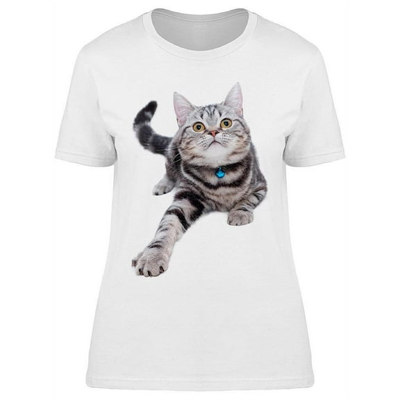 Silver Tabby American Cat T-Shirt Women -Image by Shutterstock, Female x-Large