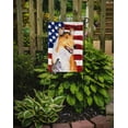 thumbnail image 2 of Carolines Treasures SS4226-FLAG-PARENT USA American Flag with Collie Smooth Flag  multicolor, 2 of 2