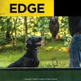 thumbnail image 6 of Dogtra EDGE Remote Dog Training Collar Long Range 1-Mile High-Output Waterproof 4-Dog Expandable, 6 of 6