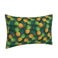 thumbnail image 2 of Daiia Pineapples with Palm Leaves Bedding Waterproof Pillow Protector Zippered Queen – Bed Bug Proof Pillow Encasement-20"x30", 2 of 9