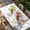 white, variant on Happy Easter Table Cloths for 3 Foot Rectangle Tables, Spring Rabbits Polka Dots Beige Burlap Patio Waterproof Elastic Fitted Tablecloths, Washable Rectangular Table Cover for Camping
