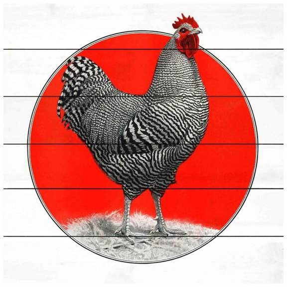 Marmont Hill "Plymouth Rock" Painting Print on White Wood