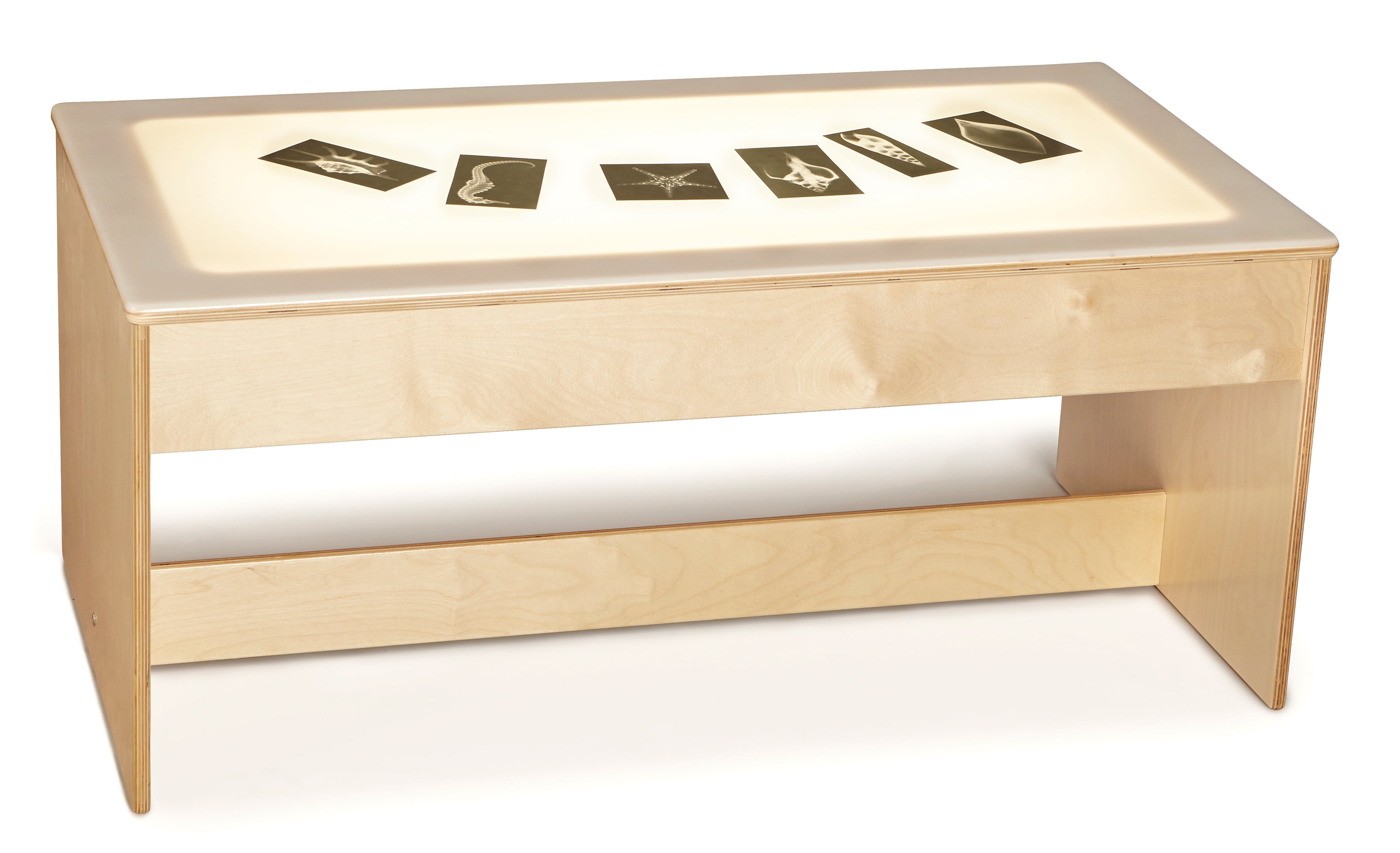 Large Light Table