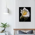 thumbnail image 3 of Creowell Beautiful Calla Lily Flower Canvas Poster Bedroom Decor Sports Landscape Office Room Decor Gift,Canvas Wall Art Decor Print Picture Paintings for Living Room Bedroom Decoration - 16x20inch, 3 of 3