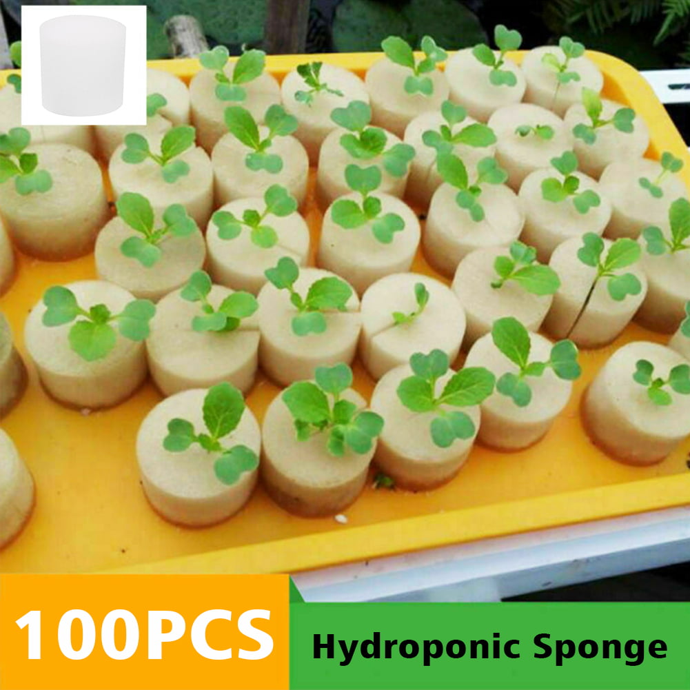 100pcs Media Cube 30mm Garden Tool White Hydroponic Sponge For Plant Soilless 