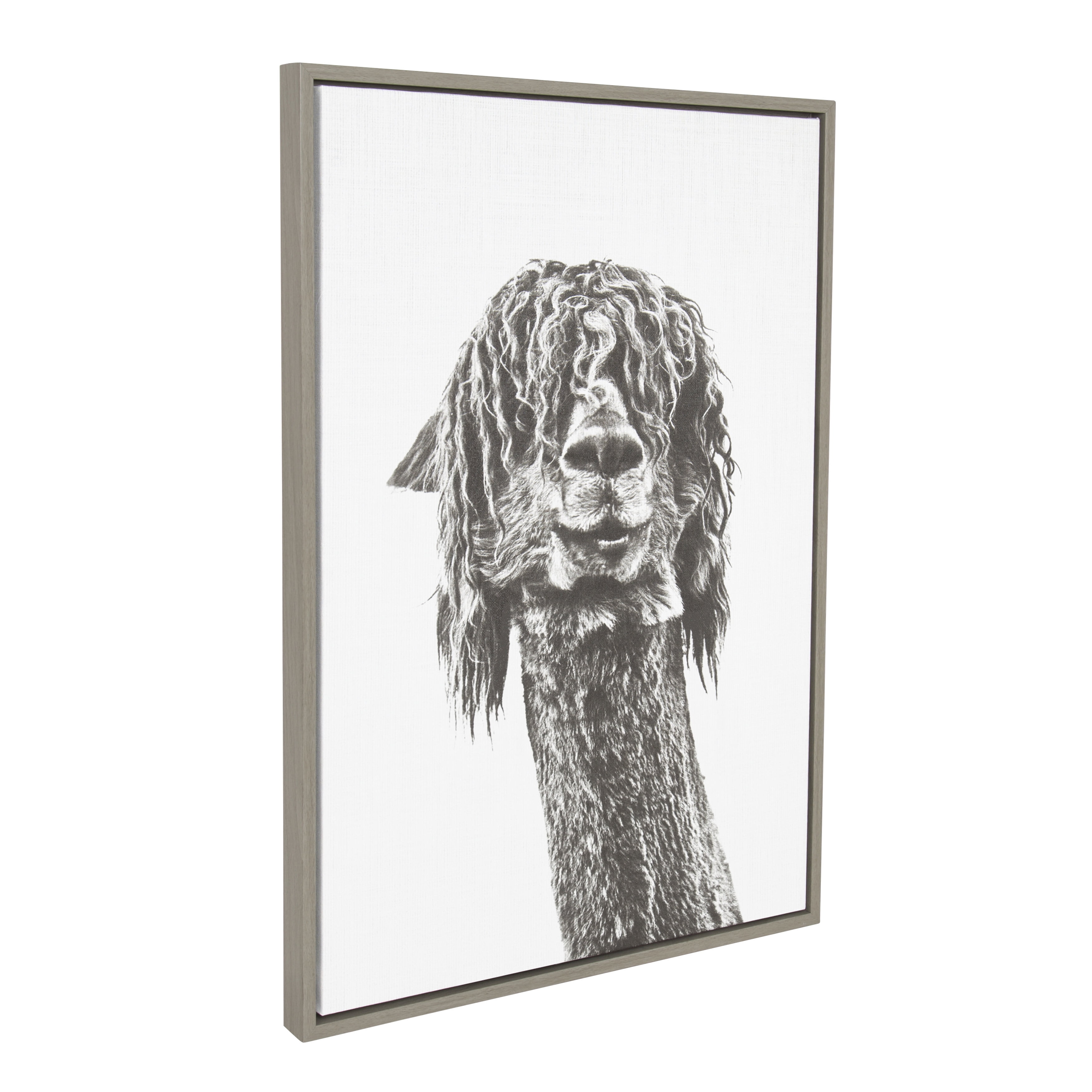 Kate and Laurel Sylvie Curly Hair Alpaca Black and White Animal Portrait Framed Canvas Wall Art, 23x33 Gray