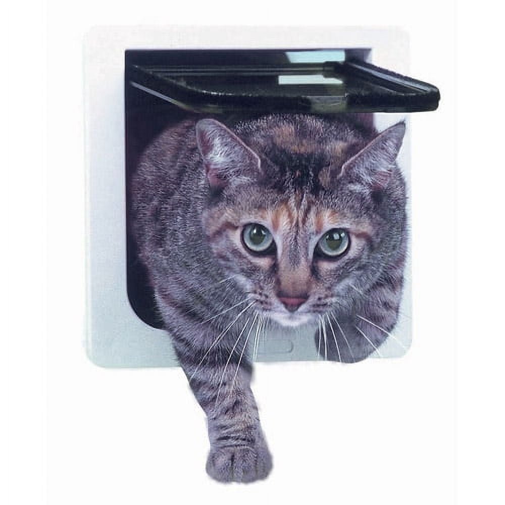 Fitting a cat flap in a shed hot sale