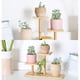 thumbnail image 5 of Soporte para plantas suculentas en miniatura de 3 niveles para interior y exterior, para escritorio y jardín, soporte para plantas de bambú de varios niveles, 5 of 5