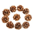 thumbnail image 2 of 18 Natural Pinecones 2-2.36 Inches for Rustic Fall Decor Ornaments Garland Wreath Craft Supplies, 2 of 6