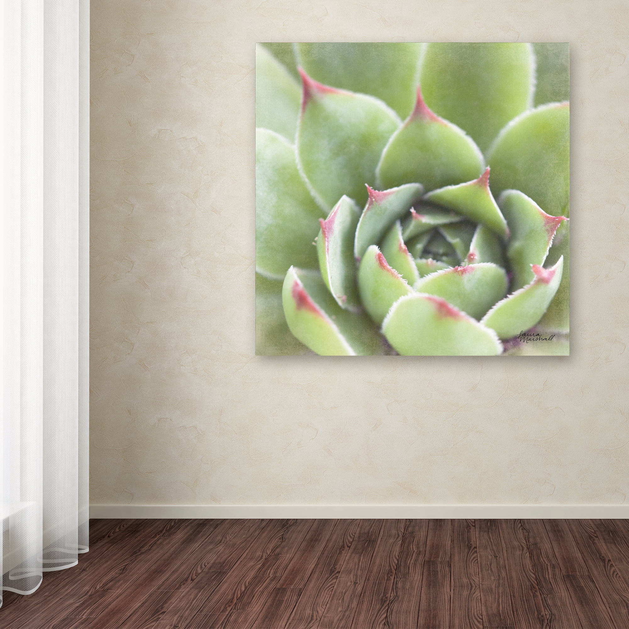 Trademark Fine Art 'Garden Succulents III Color' Canvas Art by Laura Marshall