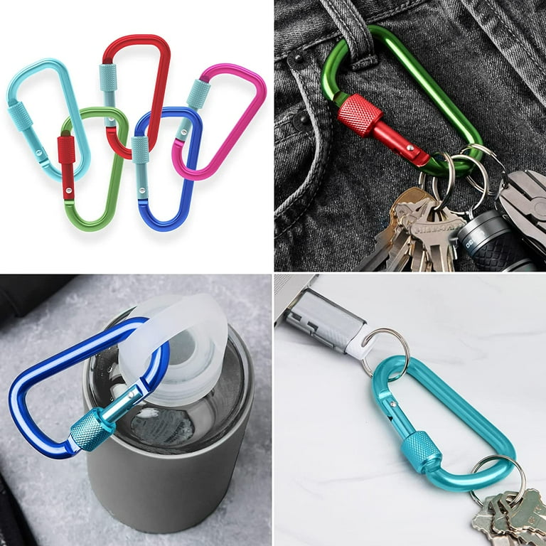 Carabiner Clips D Shape Spring-Loaded Gate Aluminum Key Chain Clip - China  Customized and Aluminum D-Ring Spring Gate Small Key Chain price