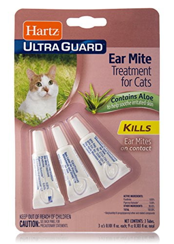 diy ear mite treatment for cats
