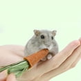 thumbnail image 2 of 9Pcs Rabbit Chew Carrots Hamster Chewing Toys Small Animals Teething Sticks, 2 of 8