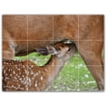 thumbnail image 1 of Picture-Tiles.com: Deer Ceramic Tile Wall Mural WAL500465-43M. 24"W x 18"H using (12) 6" x 6" Ceramic Tiles-Satin Finish, 1 of 3