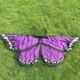 thumbnail image 3 of Costume de Déguisement Papillon Ailes de Fée pour Filles Garçons Fête Jeu de Rôle, 3 of 5