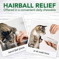 thumbnail image 2 of Cat Hairball Relief Digestive Aid Vet Formulated Hairball Support Remedy  Classic Chicken Flavor, 2 of 4