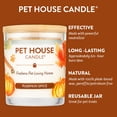 thumbnail image 4 of One Fur All Pet House Candle - Pumpkin Spice - 100% Plant-Based Wax Candle - Pet Odor Eliminator for Home - Non-Toxic & Eco-Friendly Air Freshening Scented Candles, 4 of 6