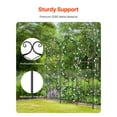thumbnail image 5 of 4-Pack Rustproof Metal Garden Trellis for Climbing Plants, 71x20 Inches, Outdoor Plant Support Arch, 5 of 11