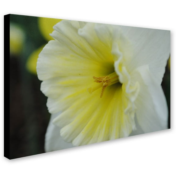 Trademark Fine Art "Vitality" Canvas Art by Monica Fleet