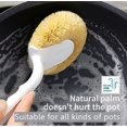 thumbnail image 4 of Cepillo para macetas de palmeras Suministros de limpieza de cocina Cerdas de fibra de planta de coco natural Olla que no daña (1 pieza), 4 of 5