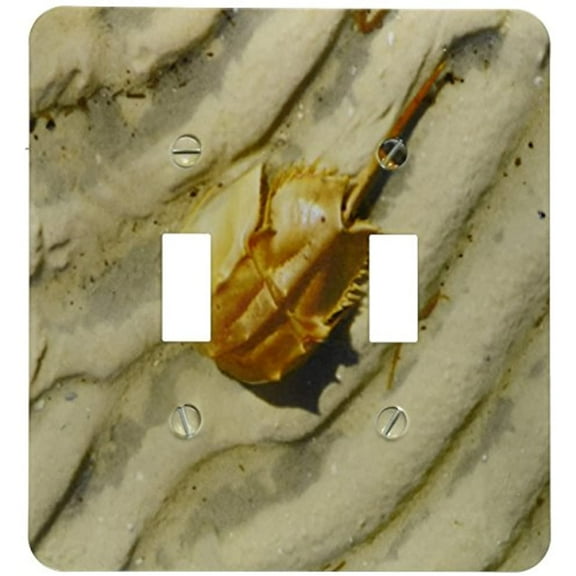3dRose, Print of Close Up Of Horseshoe Crab On Sand, double toggle switch
