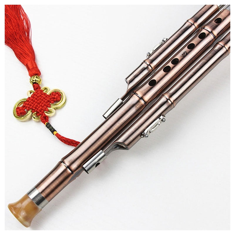 Professional Hulusi, with carrying box B-flat key, Hulusi gourd cucurbit flute for beginners, traditional Chinese instrument, musical self-study
