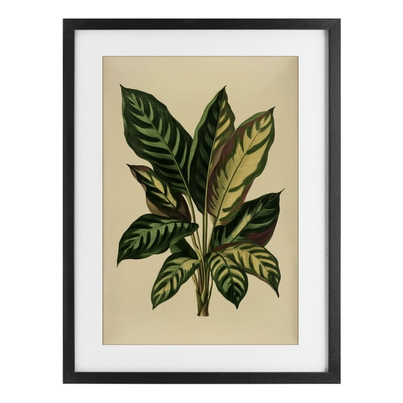 Stupell Industries Tropical Tropical Leaves Green Fronds Black Framed Print Under Glass, 14 x 20, by Petals Prints Design