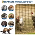thumbnail image 6 of EastVita 48in x 50ft 1/2 Inch 19 Gauge Post Welding Galvanized Hardware Cloth Chicken Wire Roll for Coop Poultry Garden Protection (Black), 6 of 8