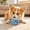 Blue, variant on Squeaky Play Ball With Elastic Rope,Interactive Dog Toys,Dog Toys To Keep Them Busy,Soft Stuffed Ball With Cotton Material And Bell Built-In,For Small To Large Dog
