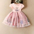 thumbnail image 1 of Robe d'Anniversaire Fille 2-11 Ans Frozen Elsa Cadeaux, 1 of 5