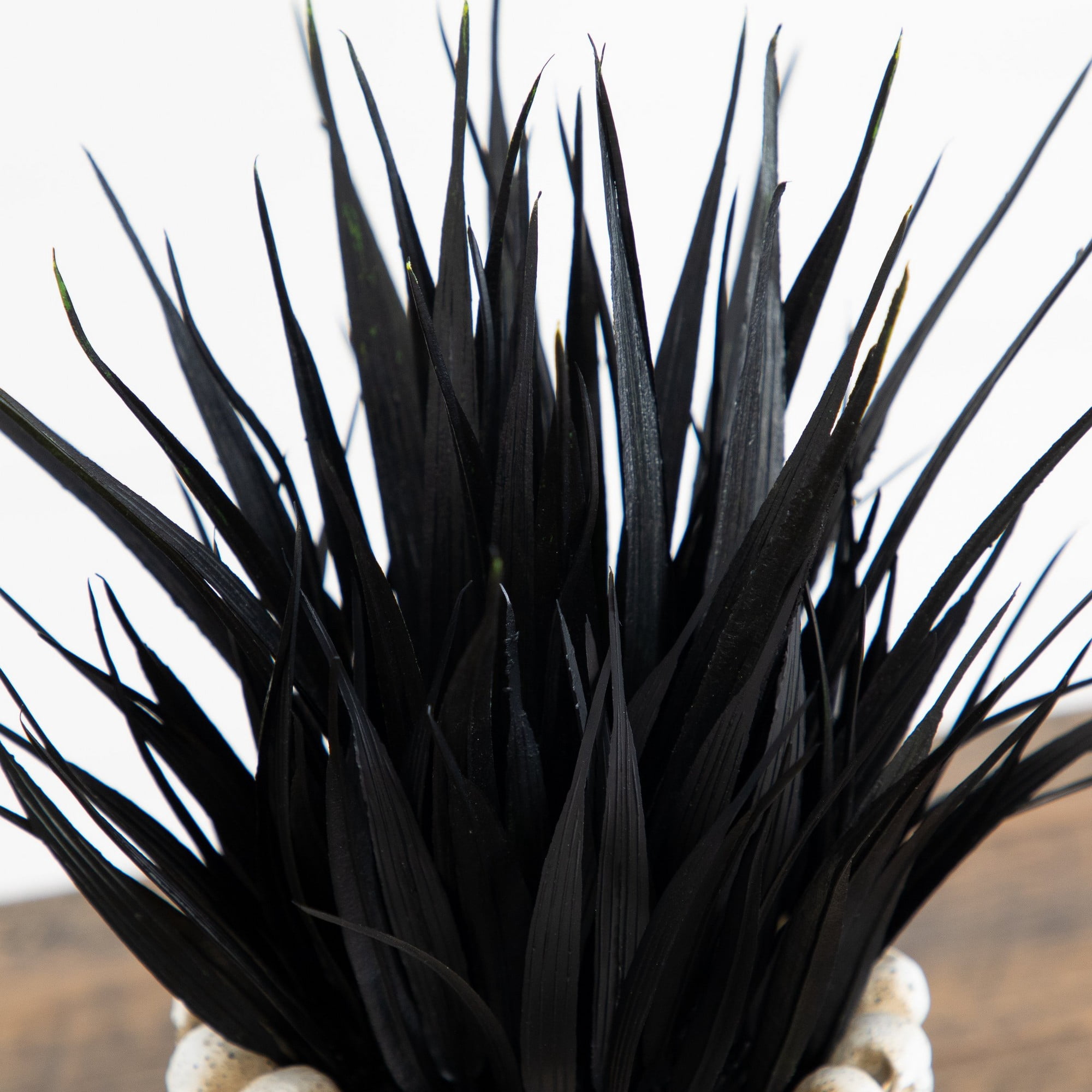 9in. Artificial Halloween Black Succulent Plant in Gothic Skull Planter