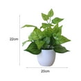 thumbnail image 5 of Faux Plants Indoor, Artificial Plant for Home Decor, Small Fake Plants - Fake Plants Decor and Decorative Plants, Fake Plant and Artificial Plant for Indoor and Outdoor - White Pot（9” - 11”H）, 5 of 7